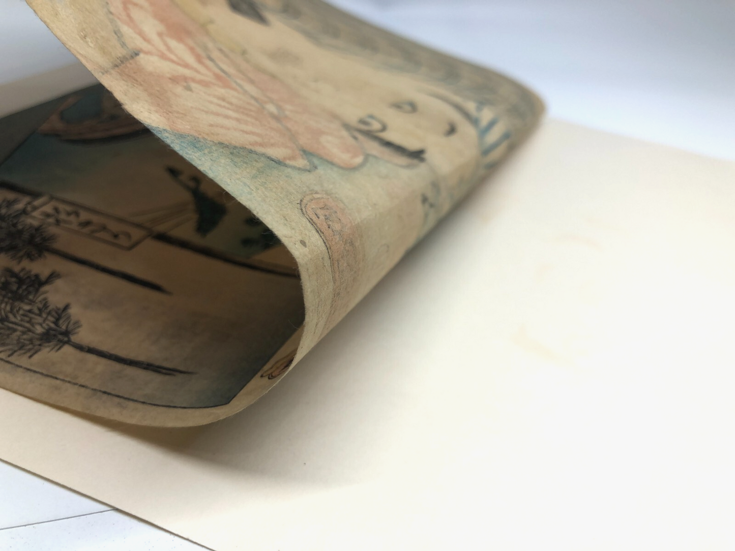 Image #11