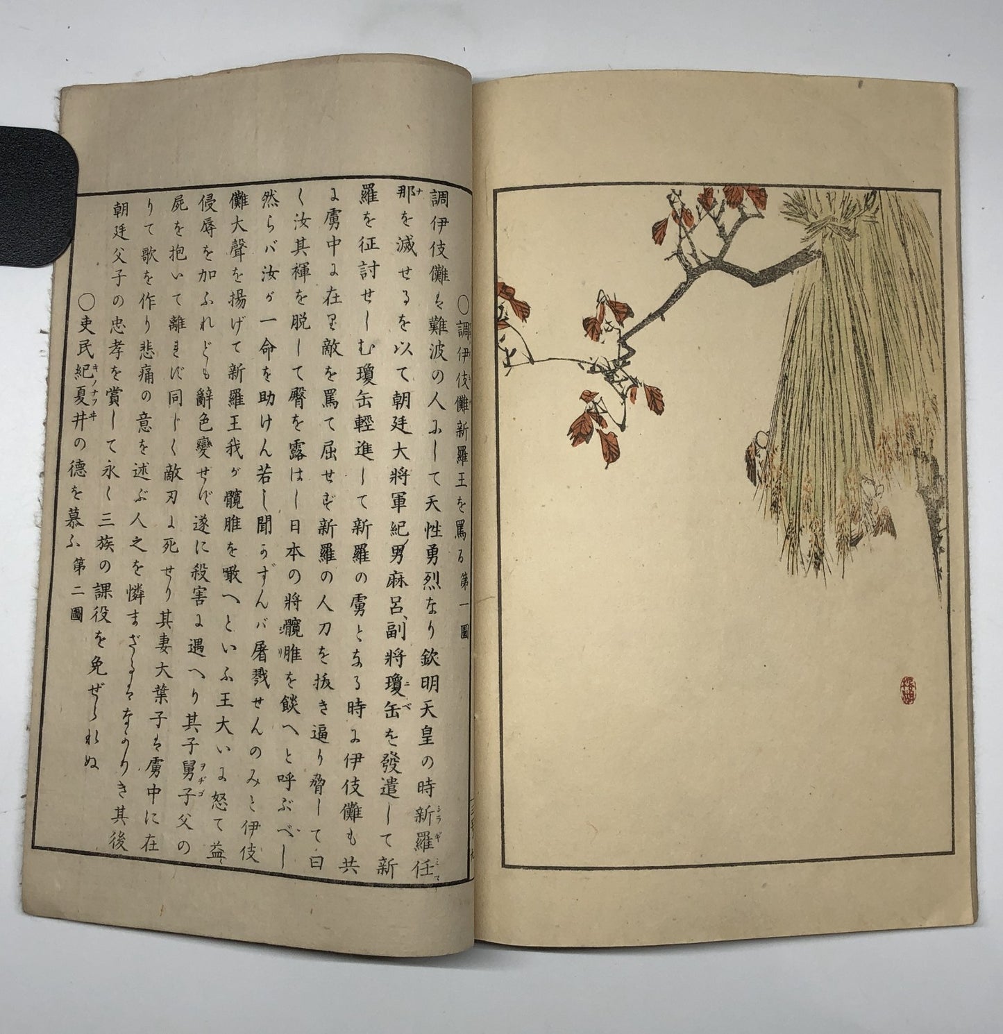 Image #22