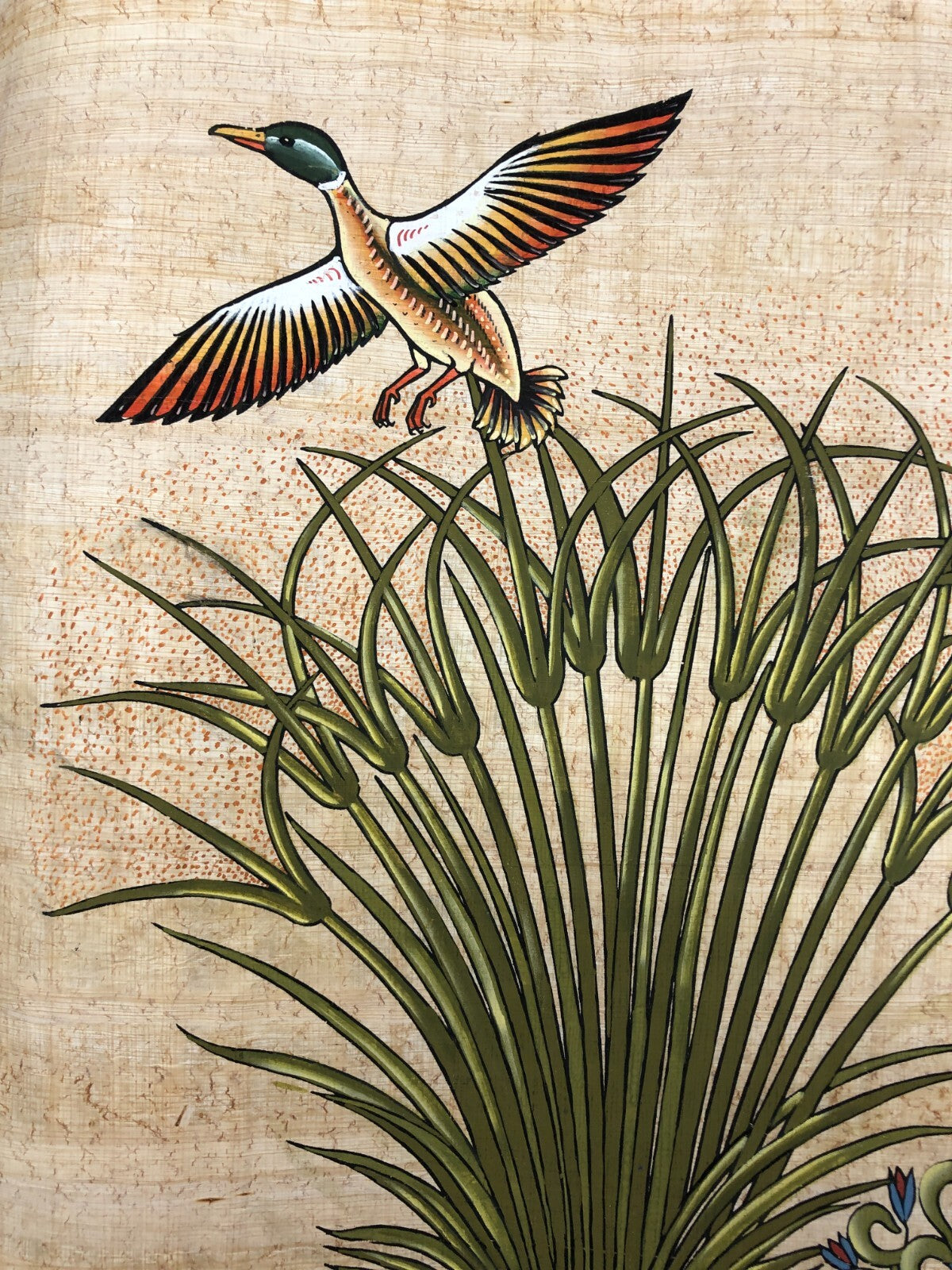 Image #24