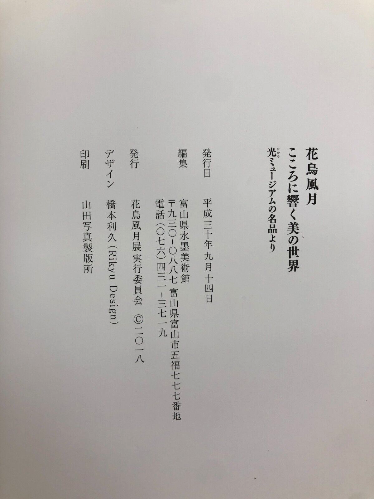Image #6