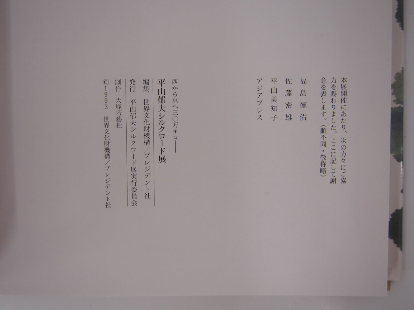Image #6