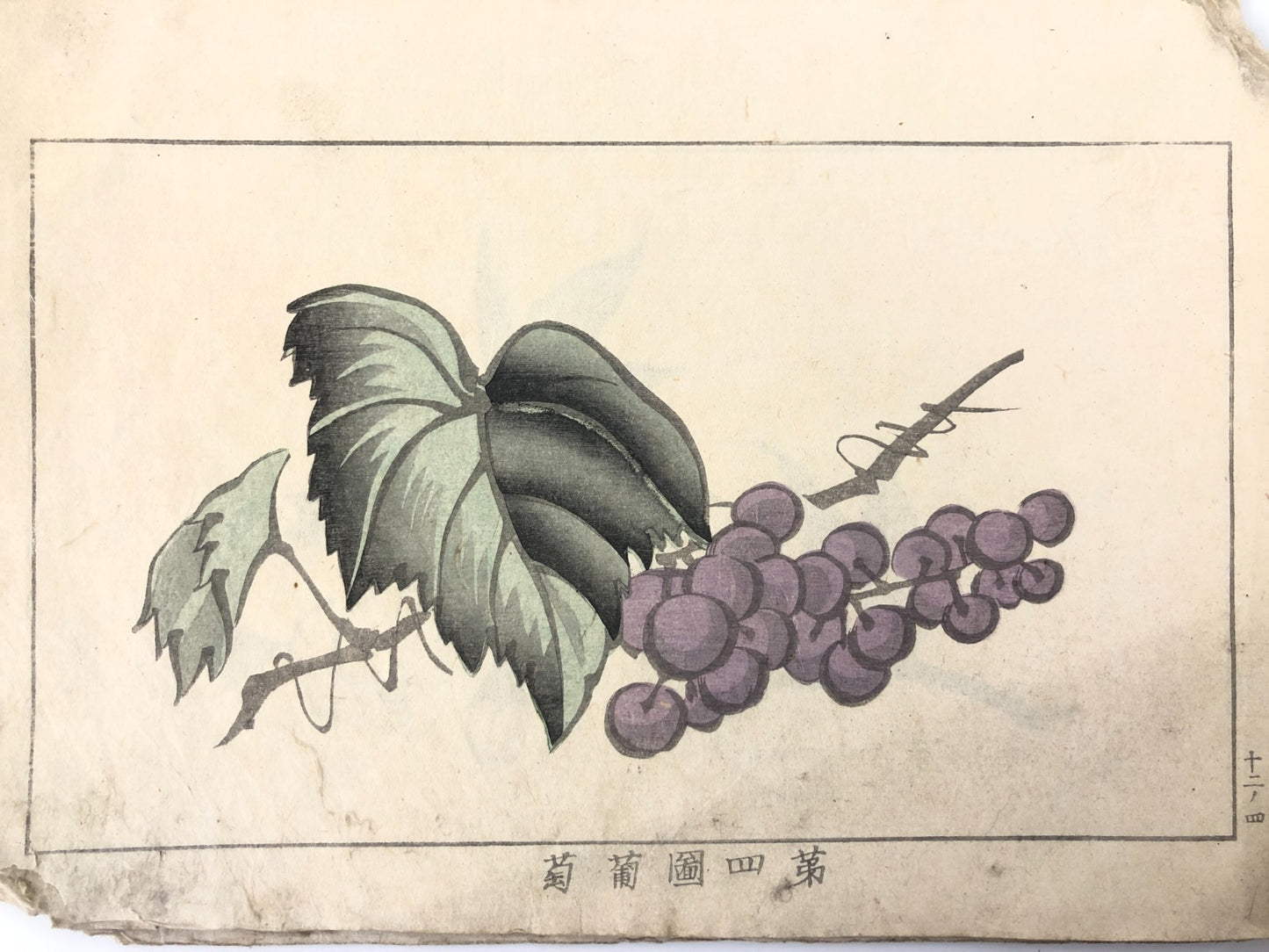 Image #15