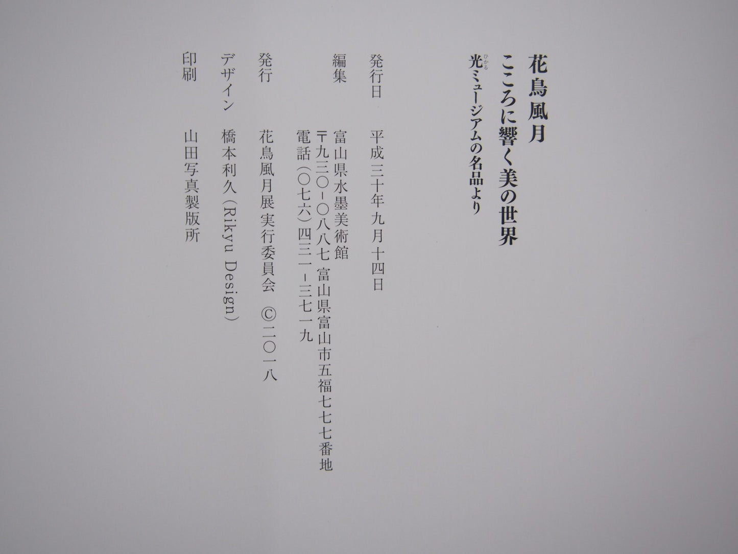 Image #6