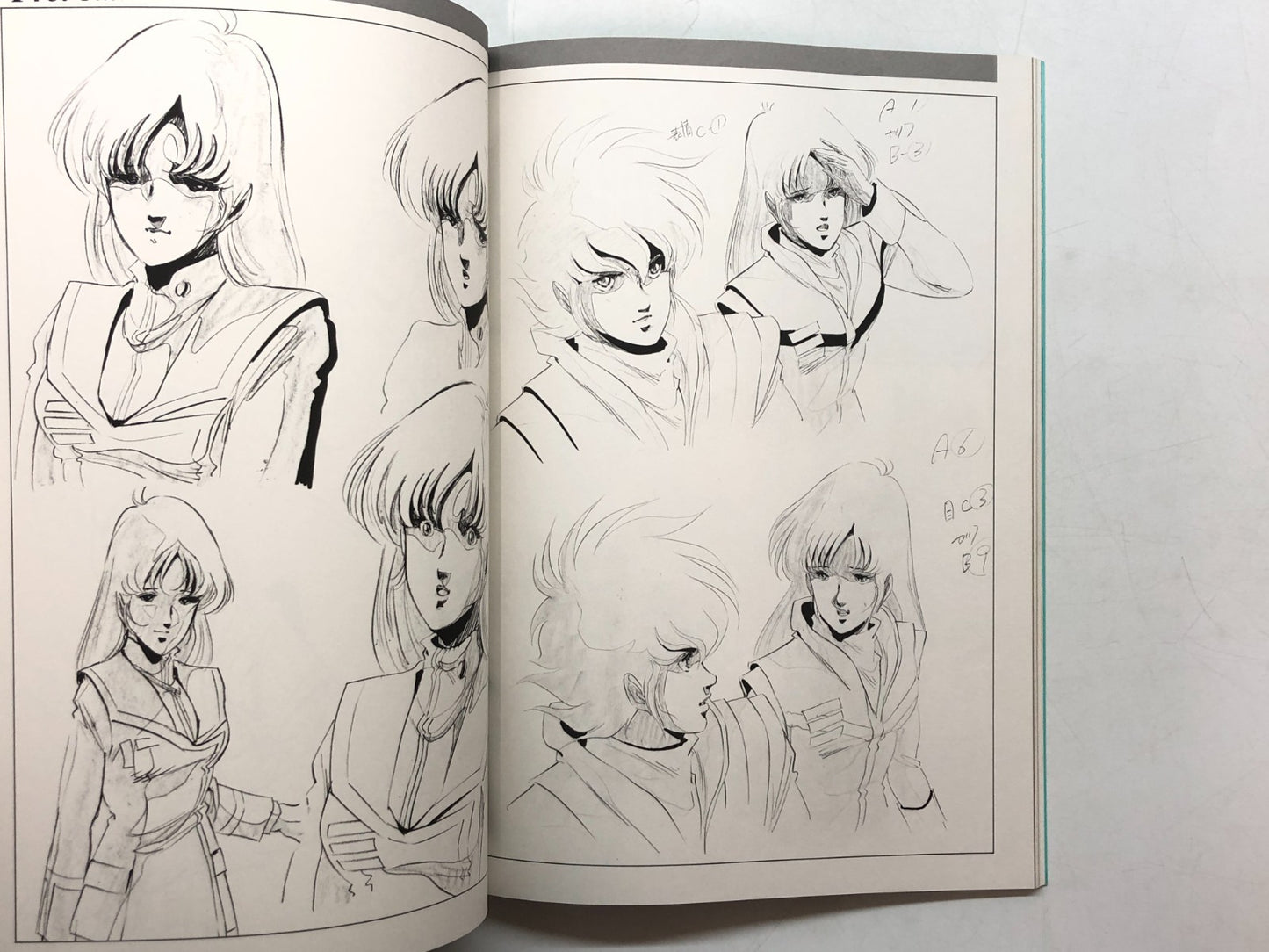 Image #12