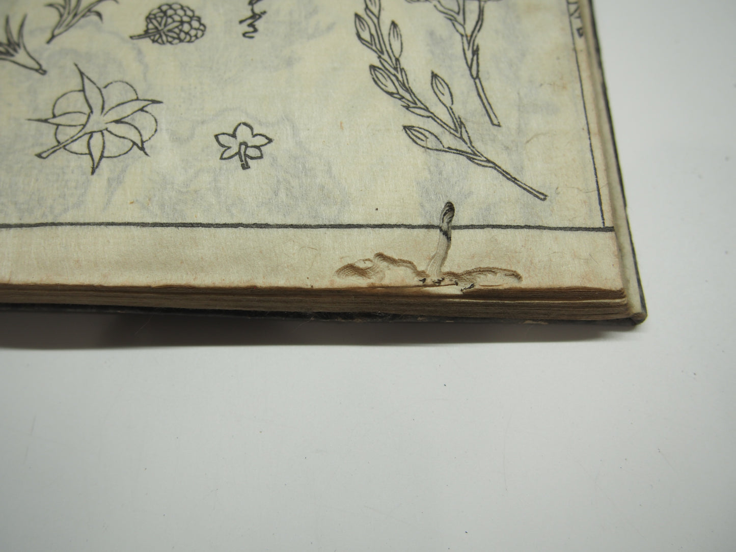 Woodblock Print Book x10 (Vol. 1-21): Kinmo Zui Illustrated Encyclopedia 1789
