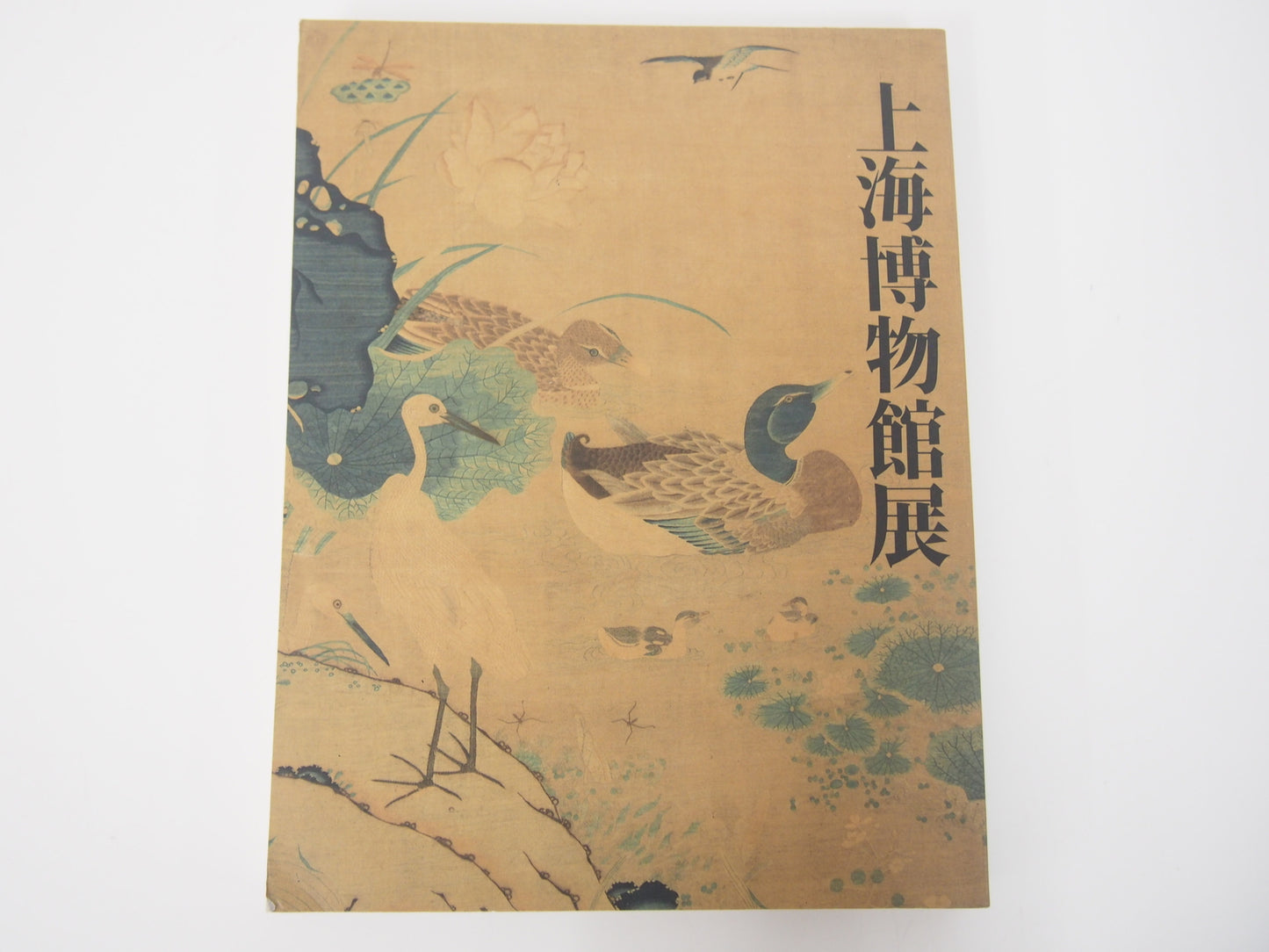 Image #1