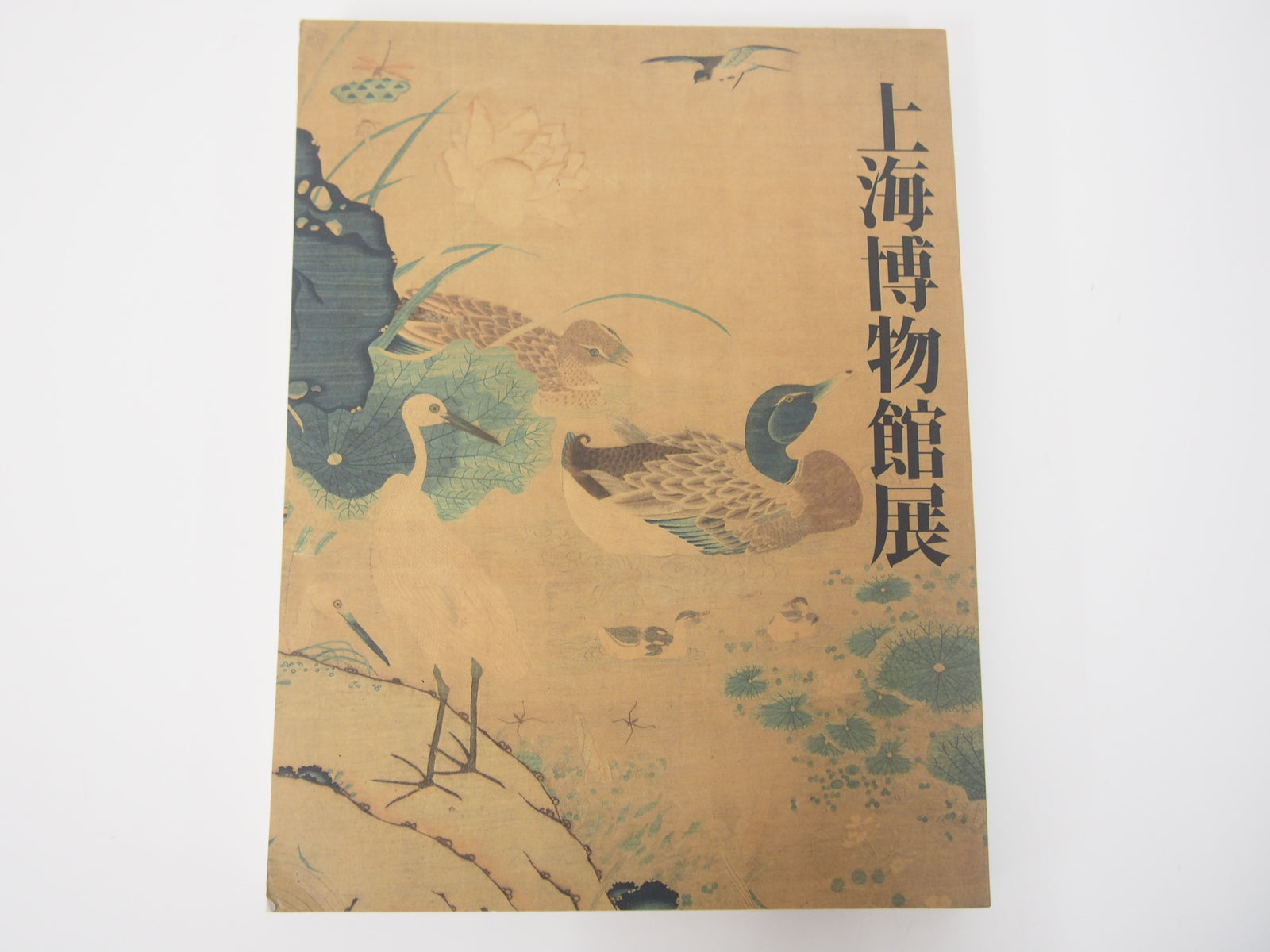 Image #1
