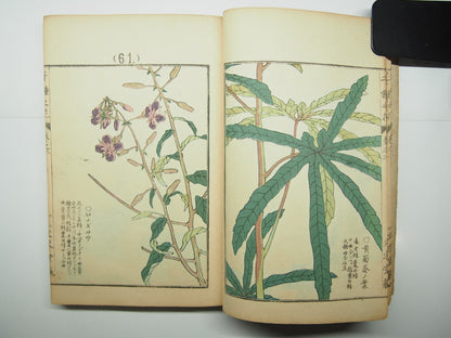 Bairei Woodblock Print Book: "Thousand Flowers" #2, First edition, Unsodo 1891