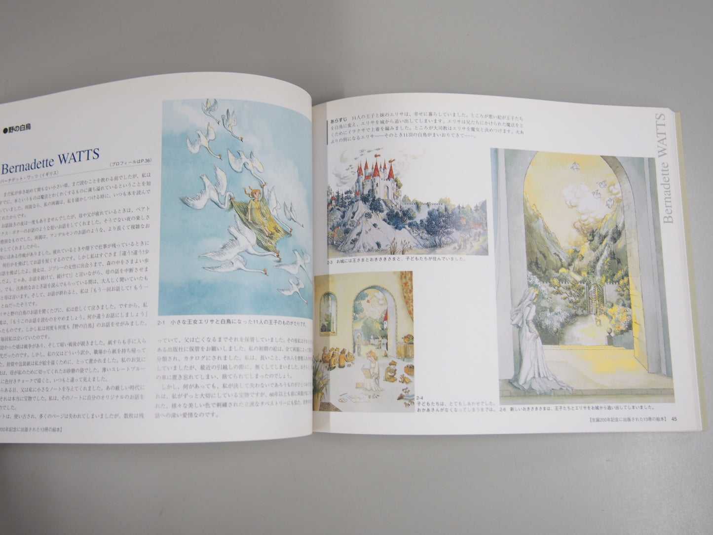 Image #5