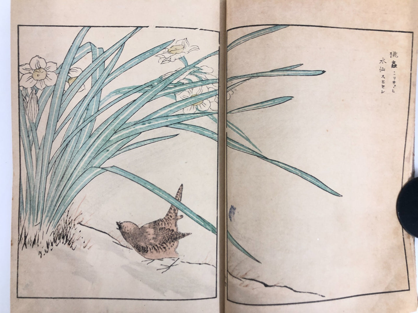 Numata Nishu Woodblock Print Book: Selected Bird-and-Flower Paintings