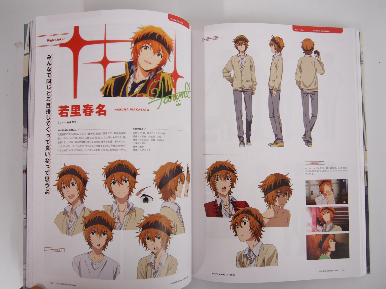 Image #6