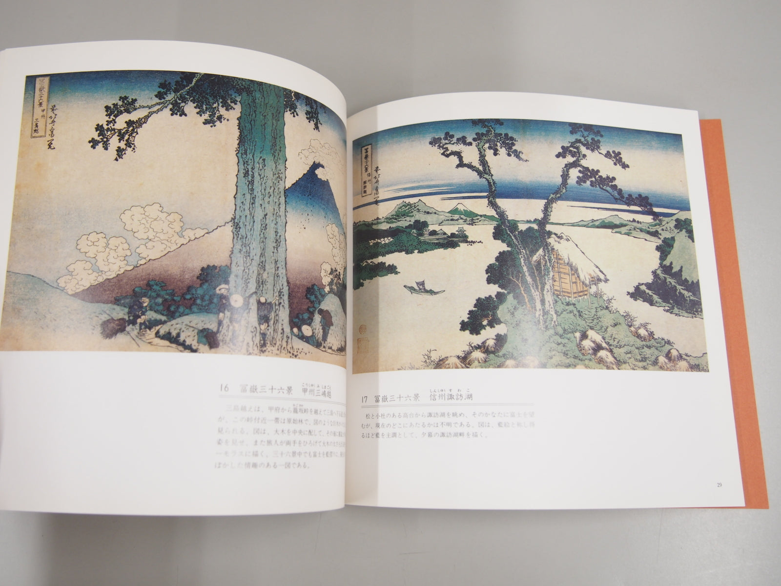 Image #4