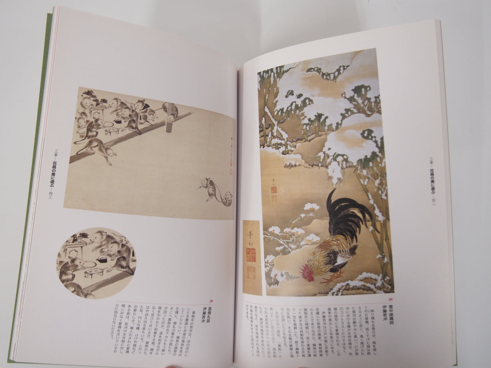 Image #4