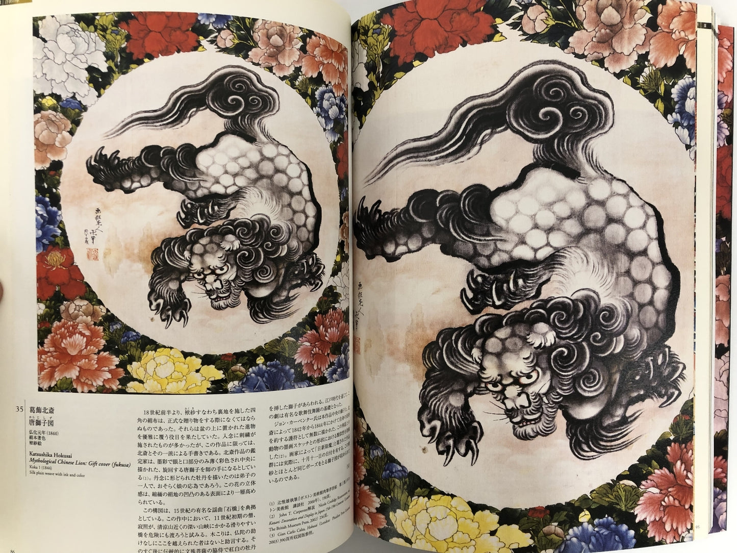 Image #5