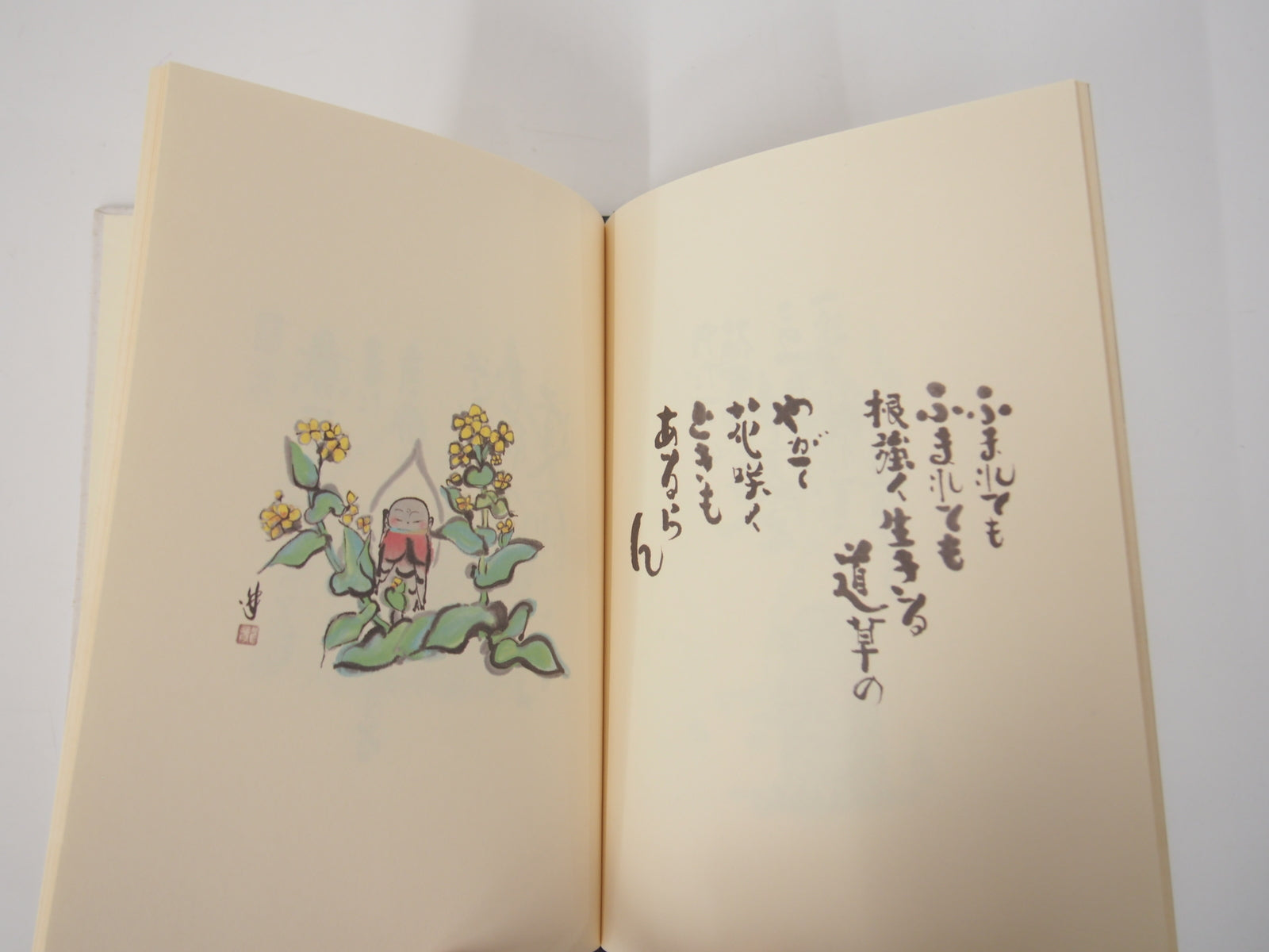 Image #5
