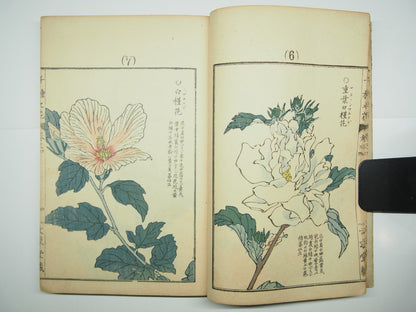 Bairei Woodblock Print Book: "Thousand Flowers" #4, First edition, Unsodo 1891