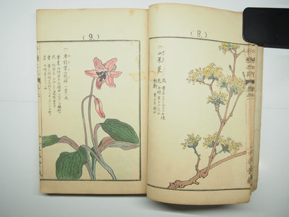 Bairei Woodblock Print Book: "Thousand Flowers" #1, First edition, Unsodo 1891