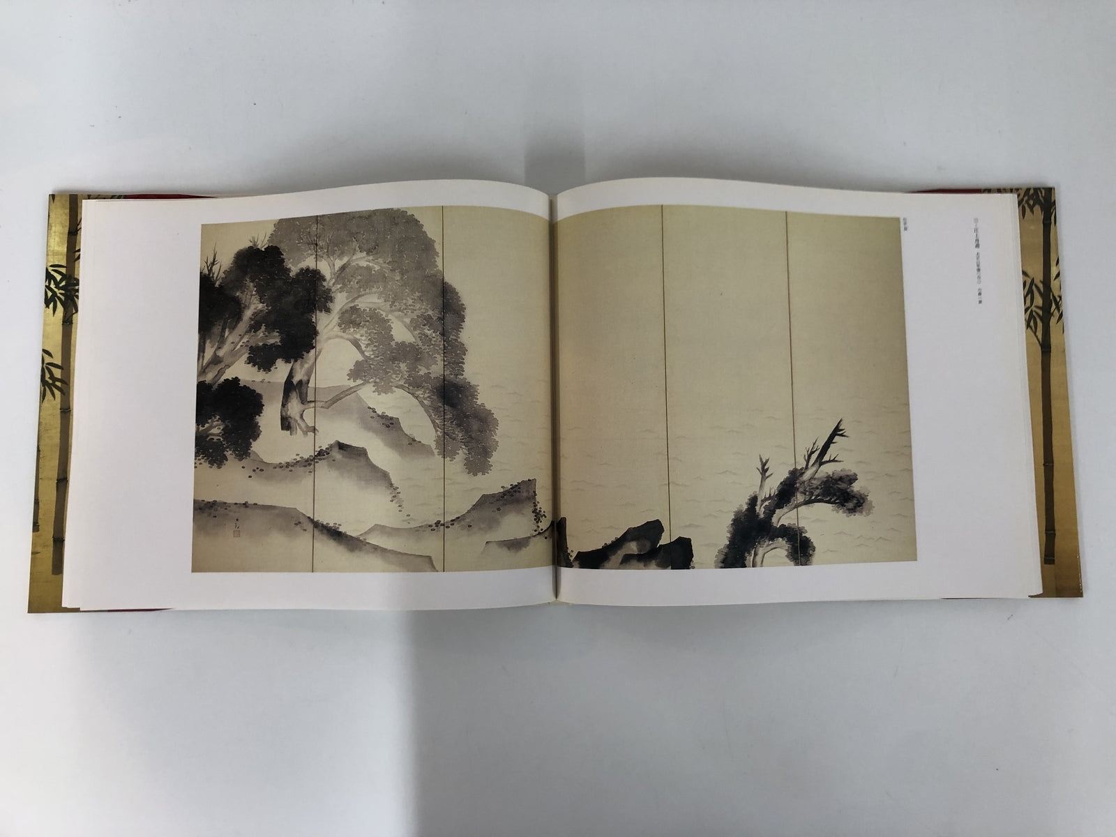 Image #5