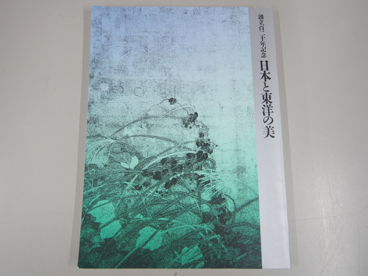 Image #1