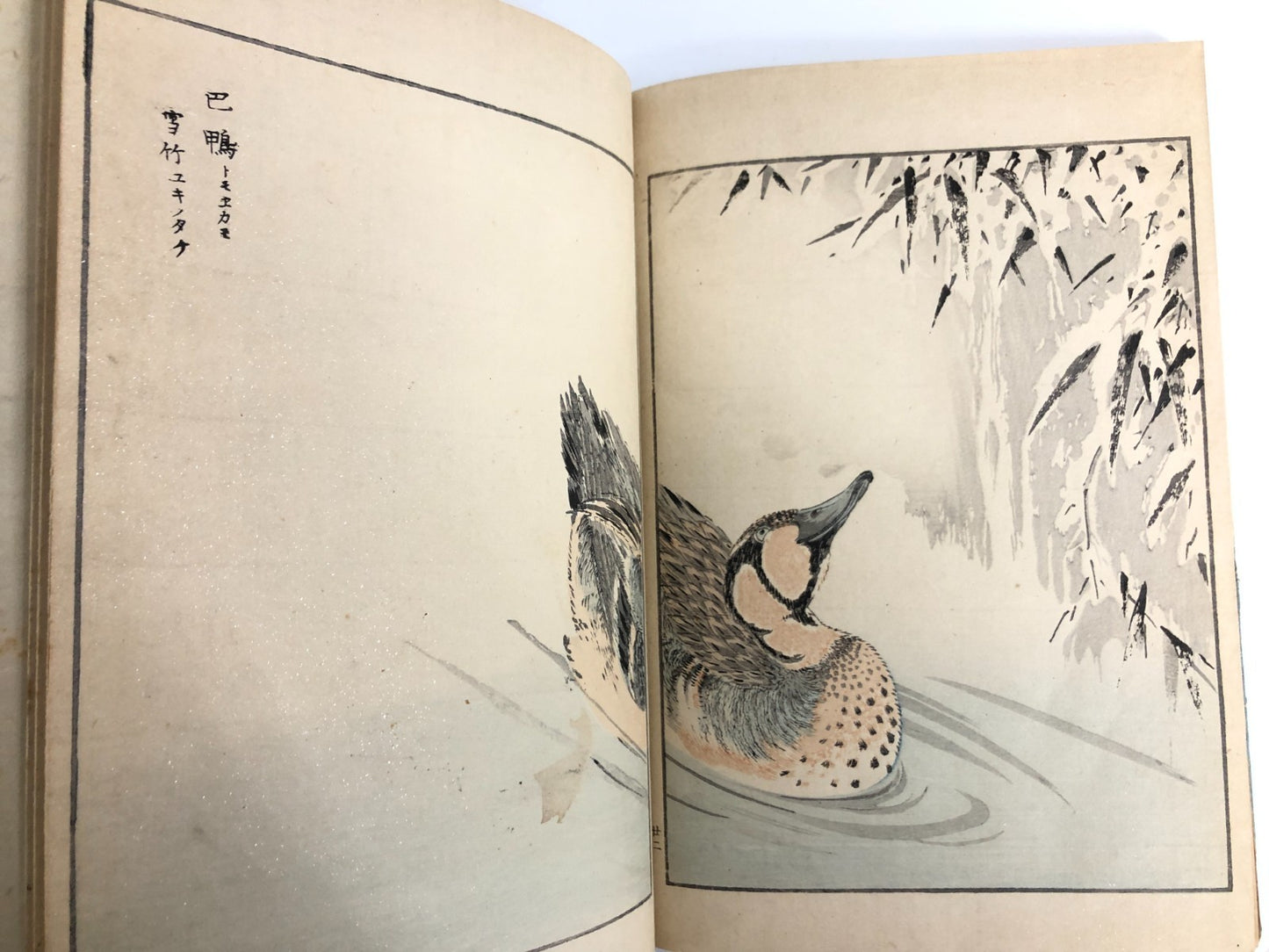 Numata Nishu Woodblock Print Book: Selected Bird-and-Flower Paintings