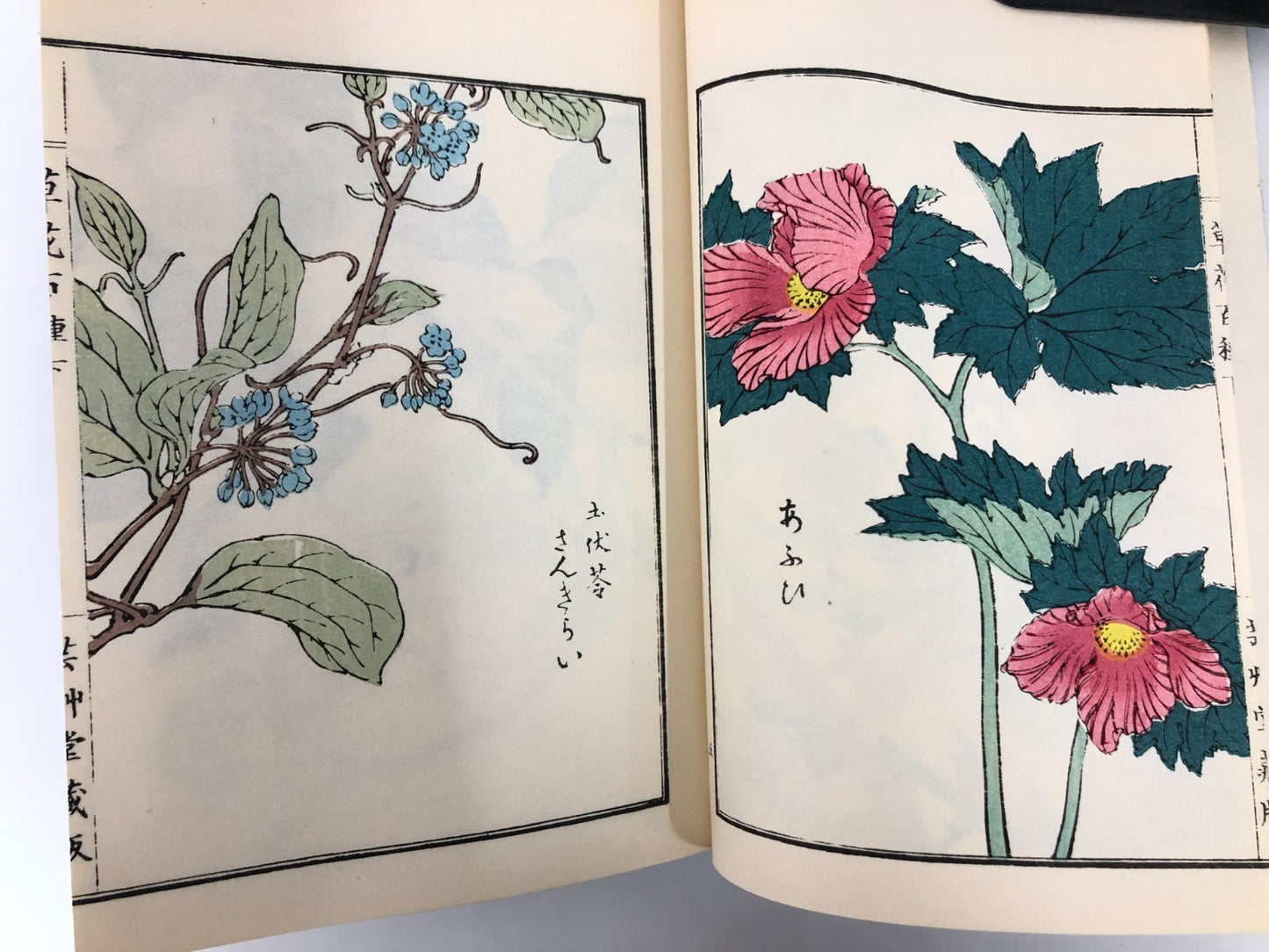 Bairei Woodblock Print Book x4: One Hundred Flowers and Plants 1974 Unsodo