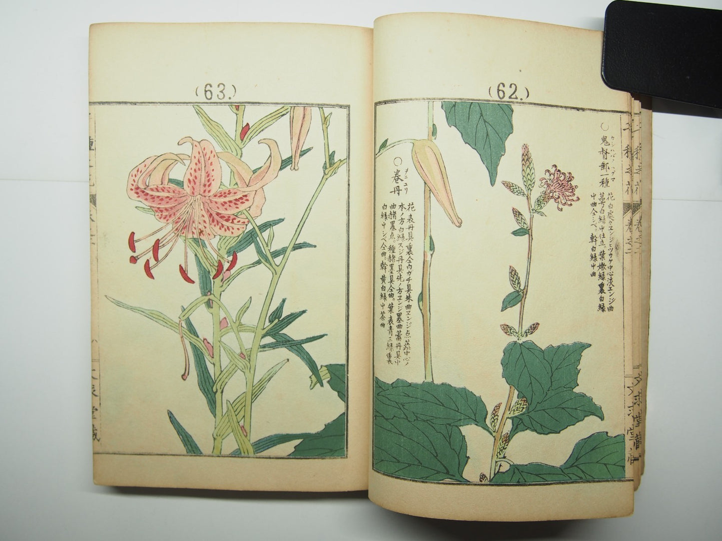 Bairei Woodblock Print Book: "Thousand Flowers" #2, First edition, Unsodo 1891
