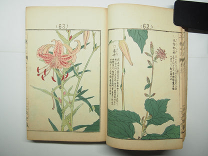Bairei Woodblock Print Book: "Thousand Flowers" #2, First edition, Unsodo 1891