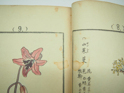 Bairei Woodblock Print Book: "Thousand Flowers" #1, First edition, Unsodo 1891