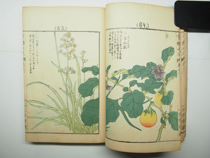 Bairei Woodblock Print Book: "Thousand Flowers" #2, First edition, Unsodo 1891