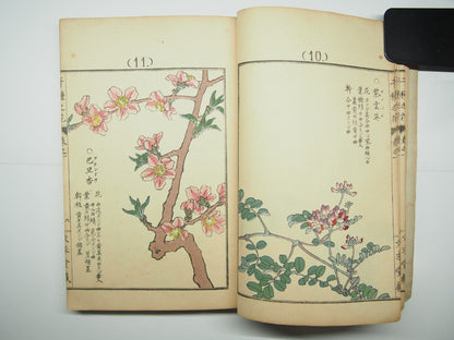 Bairei Woodblock Print Book: "Thousand Flowers" #1, First edition, Unsodo 1891