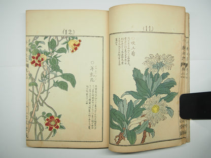 Bairei Woodblock Print Book: "Thousand Flowers" #4, First edition, Unsodo 1891