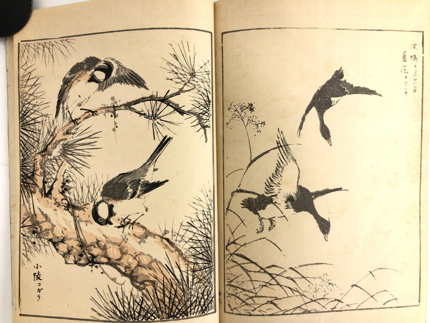 Numata Nishu Woodblock Print Book: Selected Bird-and-Flower Paintings