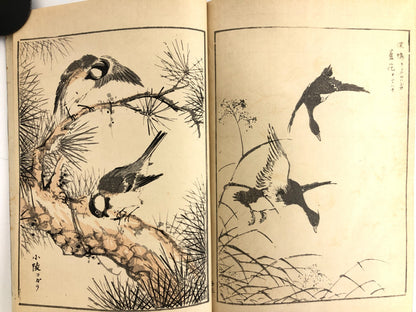 Numata Nishu Woodblock Print Book: Selected Bird-and-Flower Paintings
