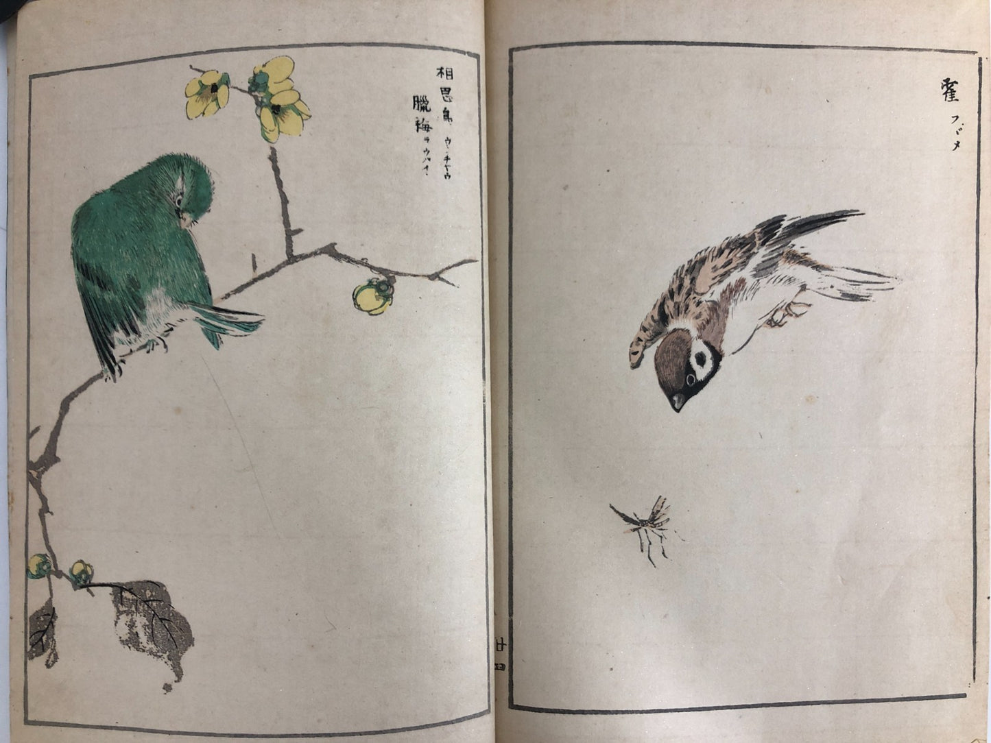Numata Nishu Woodblock Print Book: Selected Bird-and-Flower Paintings