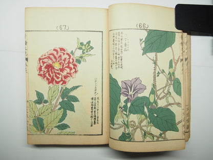 Bairei Woodblock Print Book: "Thousand Flowers" #2, First edition, Unsodo 1891