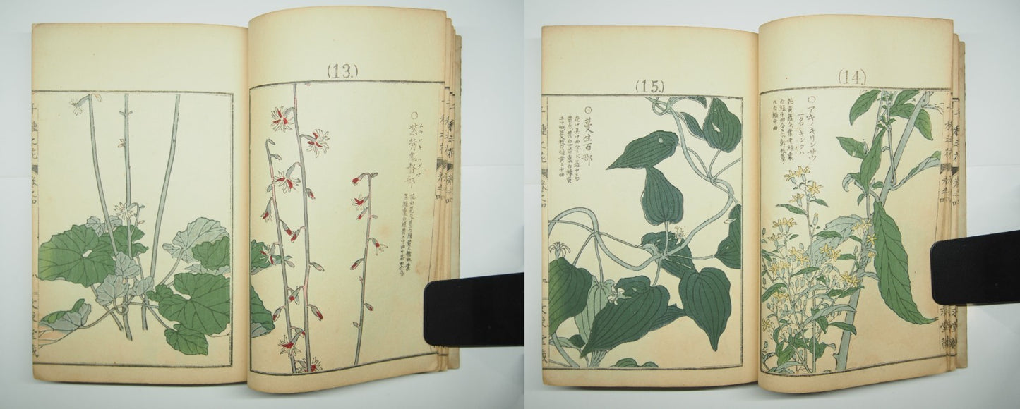 Bairei Woodblock Print Book: "Thousand Flowers" #4, First edition, Unsodo 1891