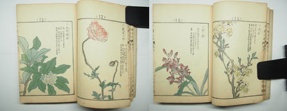 Bairei Woodblock Print Book: "Thousand Flowers" #1, First edition, Unsodo 1891