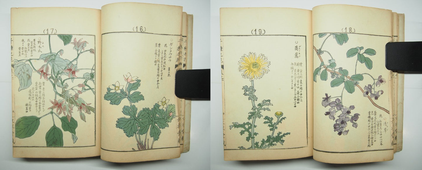 Bairei Woodblock Print Book: "Thousand Flowers" #1, First edition, Unsodo 1891