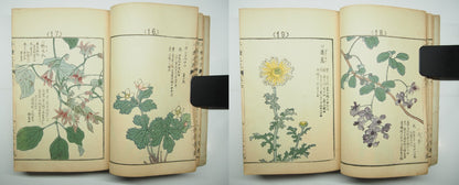 Bairei Woodblock Print Book: "Thousand Flowers" #1, First edition, Unsodo 1891