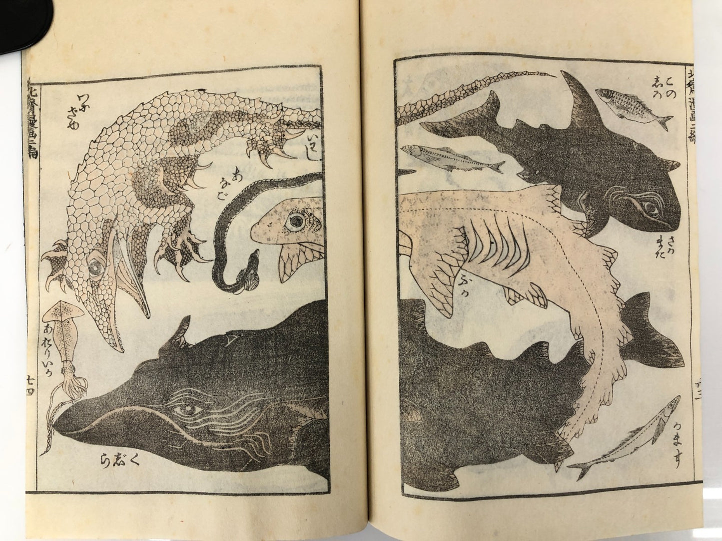 Hokusai Woodblock Reprint Book x15: HOKUSAI MANGA Complete Set UNSO-DO 1962
