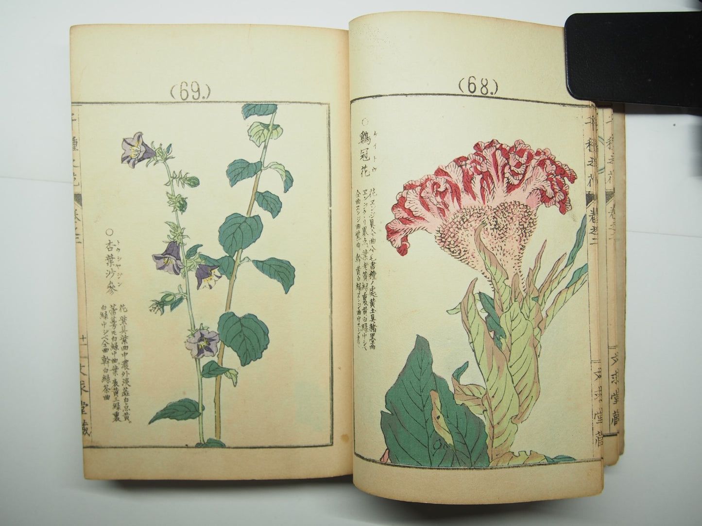 Bairei Woodblock Print Book: "Thousand Flowers" #2, First edition, Unsodo 1891