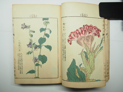 Bairei Woodblock Print Book: "Thousand Flowers" #2, First edition, Unsodo 1891