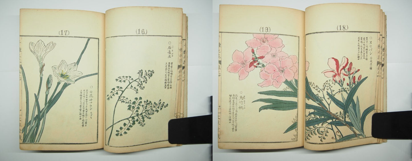 Bairei Woodblock Print Book: "Thousand Flowers" #4, First edition, Unsodo 1891