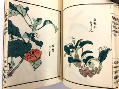 Bairei Woodblock Print Book x4: One Hundred Flowers and Plants 1974 Unsodo