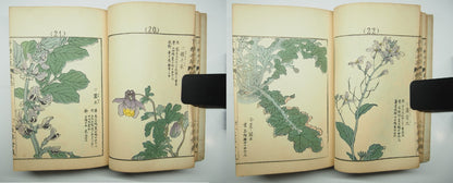 Bairei Woodblock Print Book: "Thousand Flowers" #1, First edition, Unsodo 1891