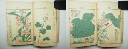 Bairei Woodblock Print Book: "Thousand Flowers" #2, First edition, Unsodo 1891