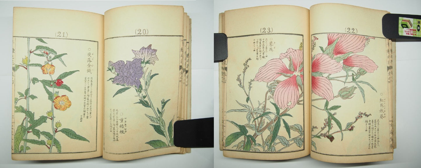 Bairei Woodblock Print Book: "Thousand Flowers" #4, First edition, Unsodo 1891