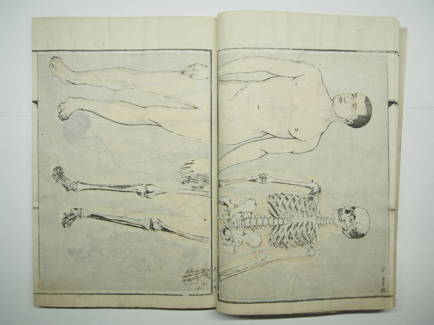 Kyosai Woodblock Print Book x4 Set: Kyosai's Paintings Collection 1887 Ukiyo-e