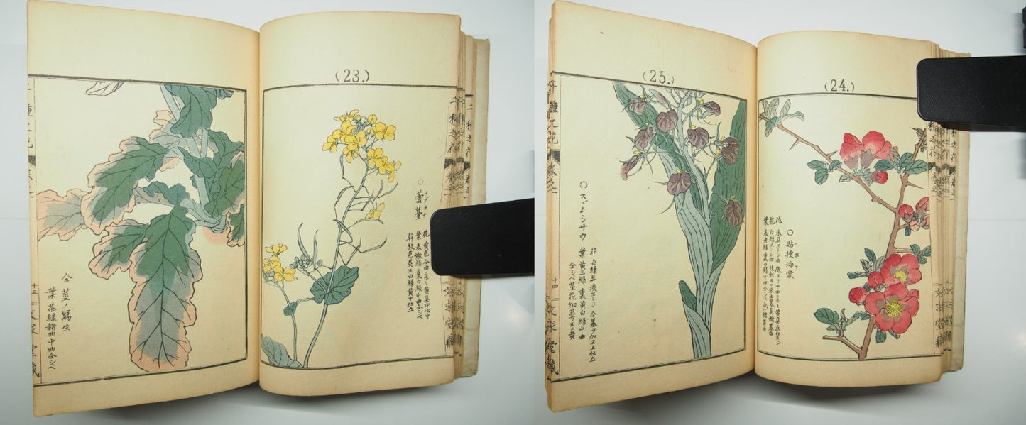 Bairei Woodblock Print Book: "Thousand Flowers" #1, First edition, Unsodo 1891