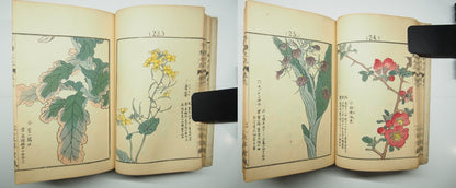 Bairei Woodblock Print Book: "Thousand Flowers" #1, First edition, Unsodo 1891
